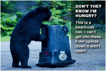 Bear tips Can