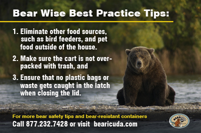 Bear Wise Safety Tips