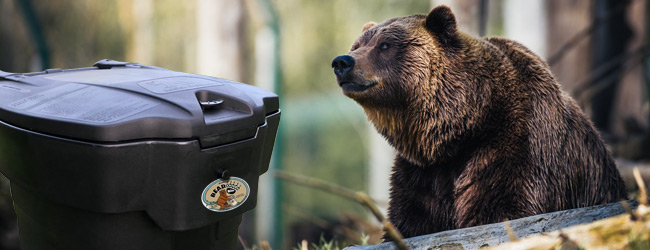 Bearproof vs Bear-Resistant Trash Can