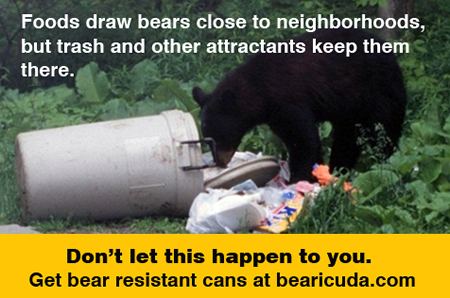 Bear safety