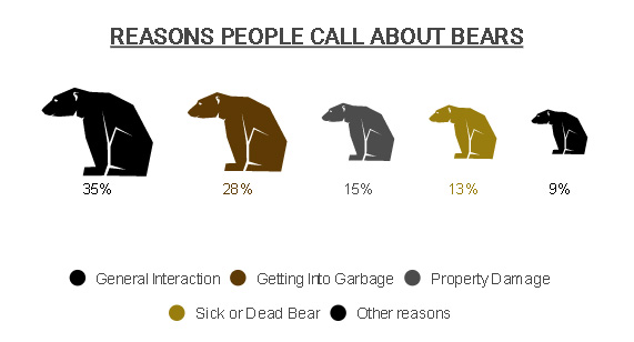 reasons for bear calls